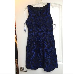 Fit and flare dress with pockets!!